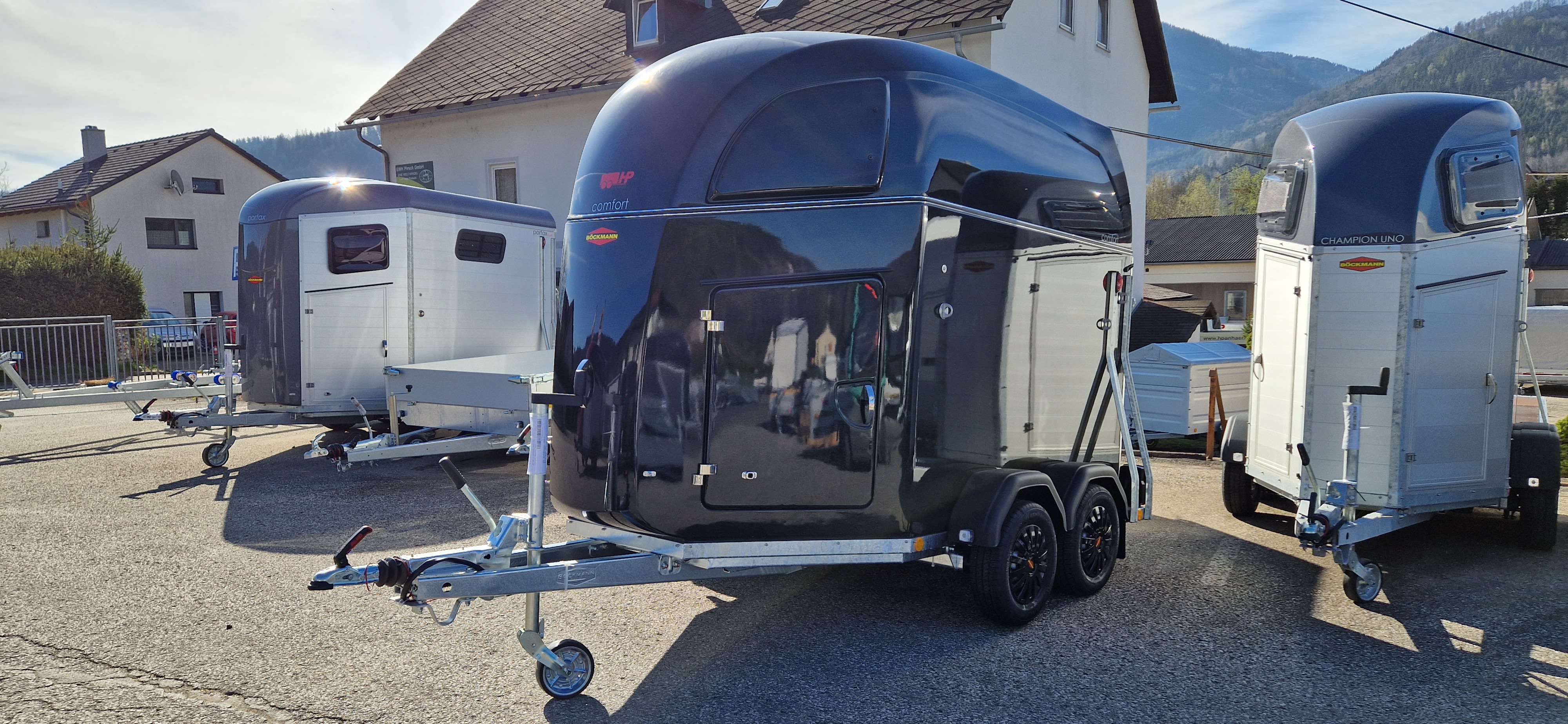 Pferdeanhänger Böckmann Comfort ECO, Vollpoly 2400 kg Gesamtgewicht