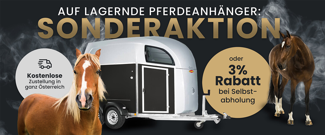 pferde-aktion-1100