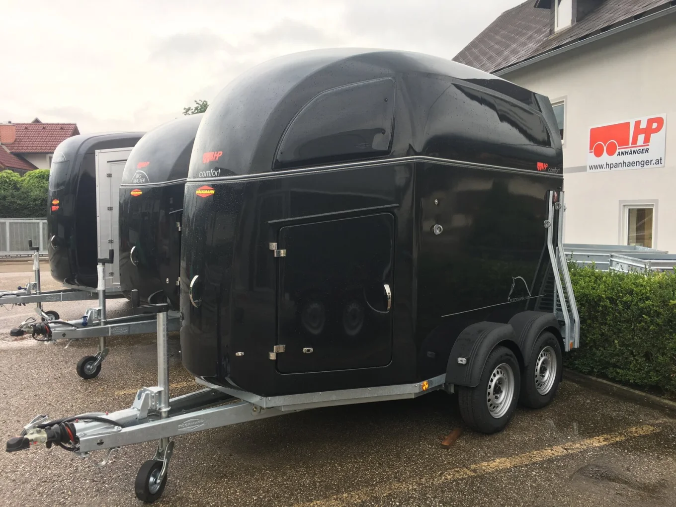 Pferdeanhänger, PKW-Anhänger Böckmann Comfort, 2400 kg GG, Polyaufbau, 2-Pferdeanhänger, der neue Comfort